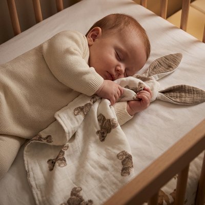 doudou lapin gris ours sommeil paisible